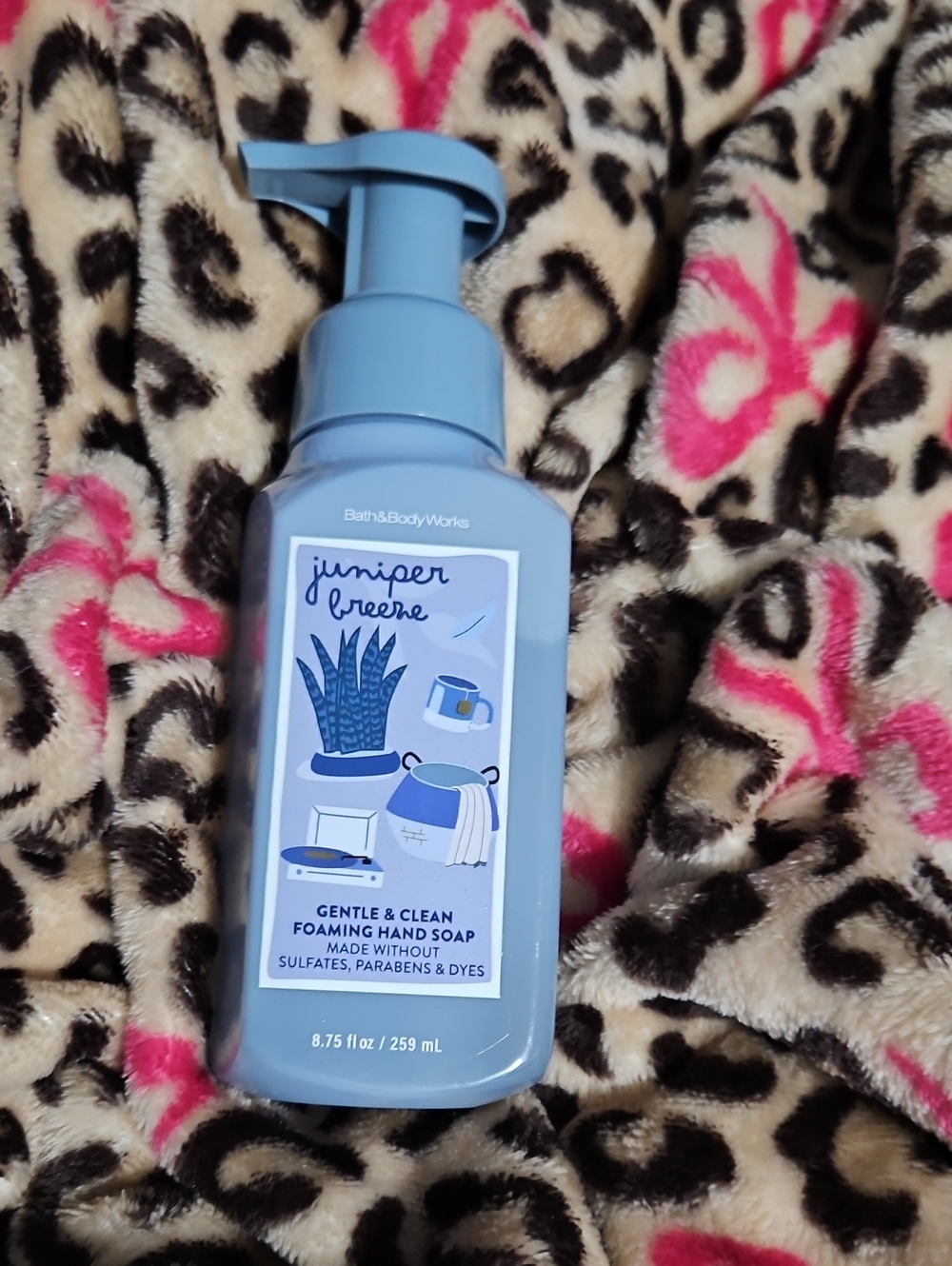 Bath & Body Works Juniper Breeze Hand Soap